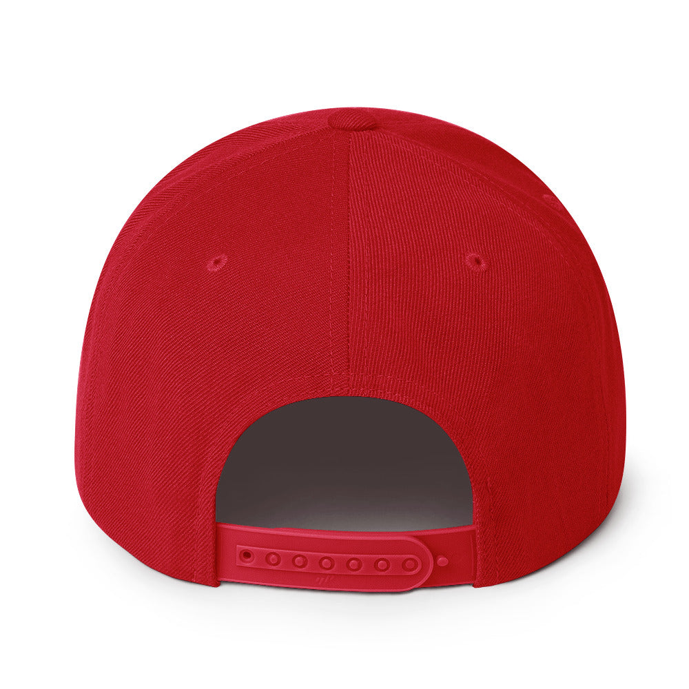 Make Baseball Great Again Snapback Hat - Red