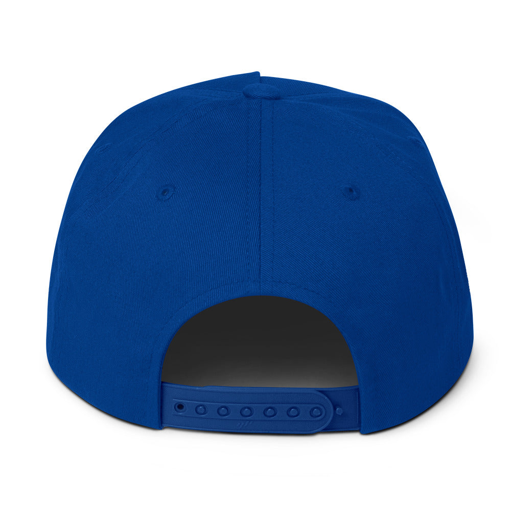 Bala Buffalo Flat Bill Cap - Blue