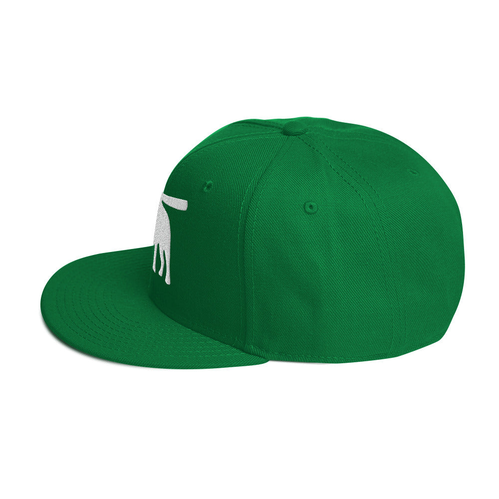 Bully Snapback Hat - Green