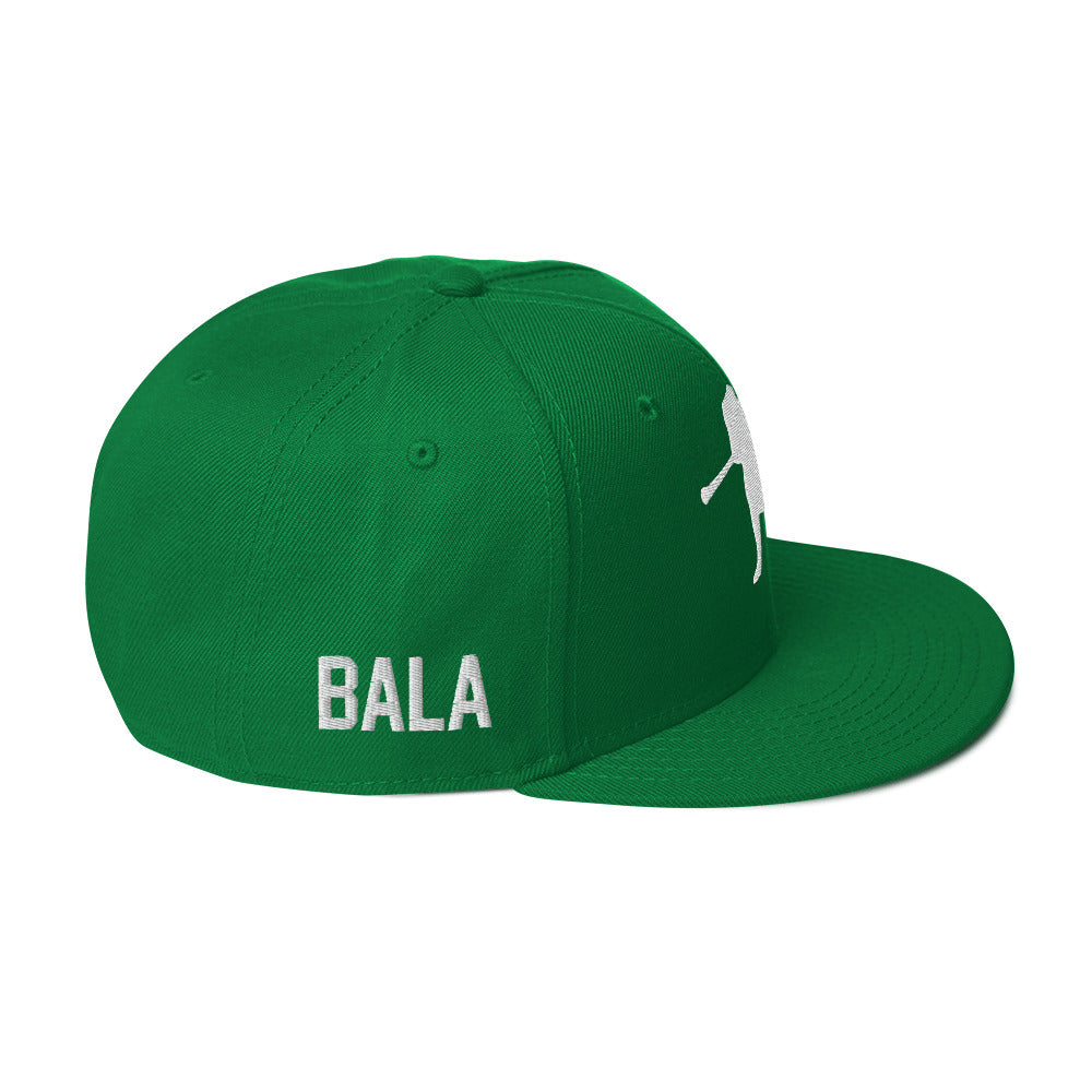 Bully Snapback Hat - Green