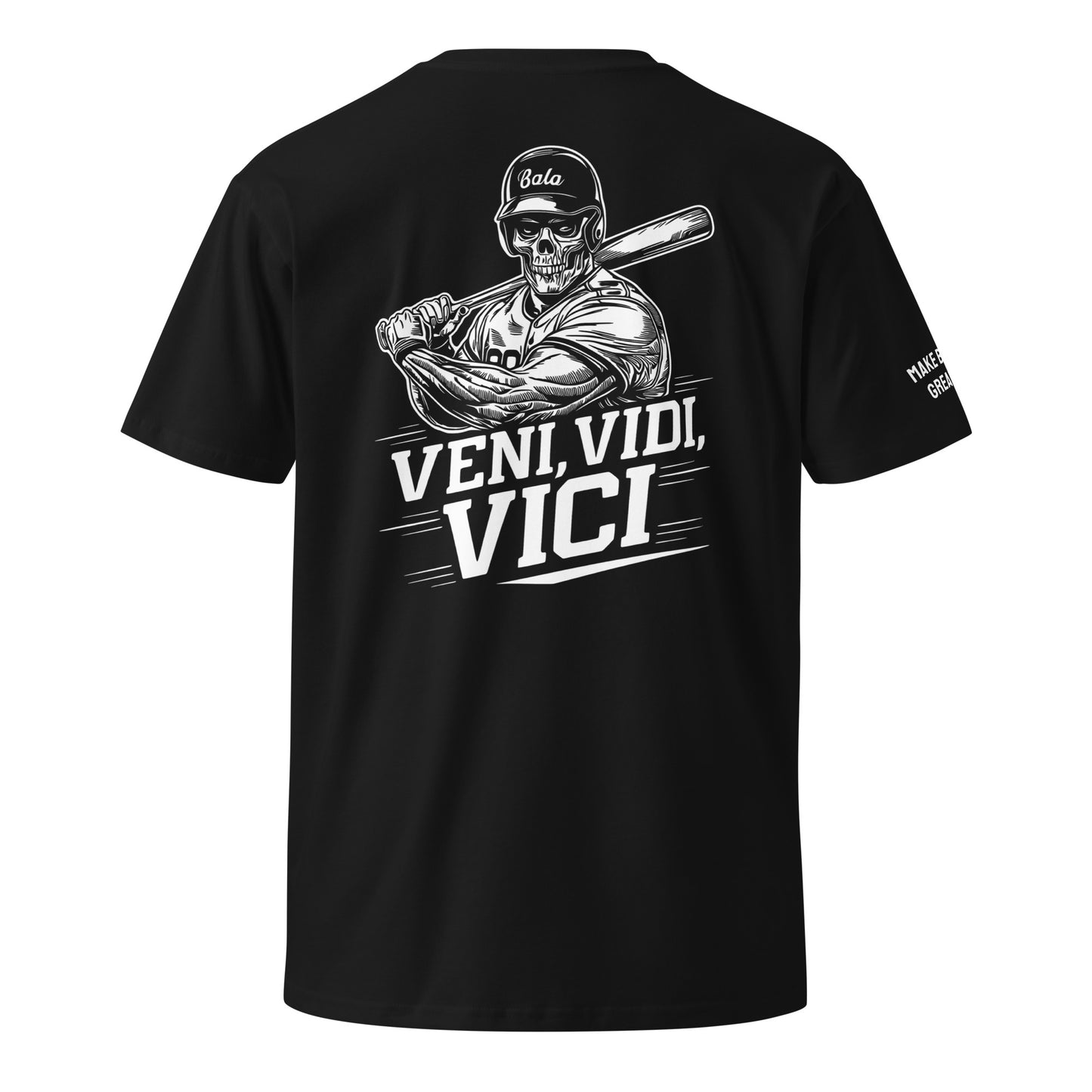 Veni, Vidi, Vici Unisex premium t-shirt - Multiple Colors