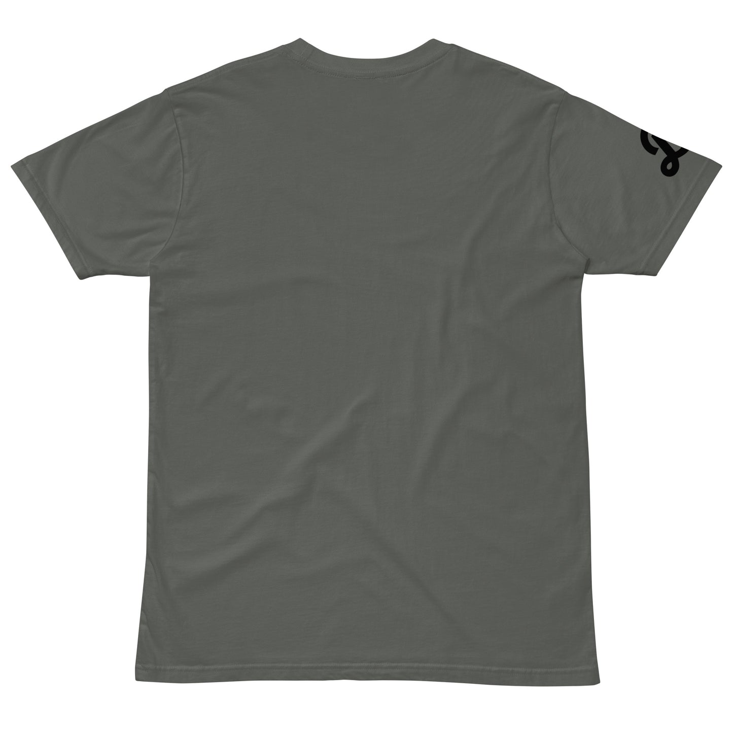 Bala IPA Unisex premium t-shirt - Multiple Colors