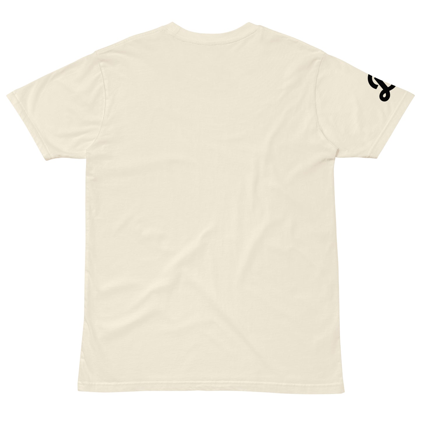 Bala IPA Unisex premium t-shirt - Multiple Colors